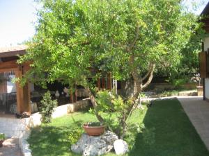 a tree in a yard next to a house at Bed and Breakfast La Casetta in Macchia di Monte