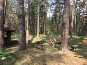 Zahrada ubytování Hotel Jerevan