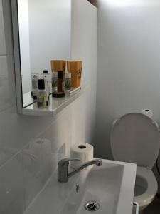 a bathroom with a sink and a mirror and a toilet at Chalet proche Orleans centre in Saint-Jean-le-Blanc