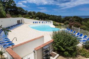 - une piscine entourée de chaises bleues dans l'établissement Résidence Odalys Les Hameaux de Capra Scorsa, à Belgodère