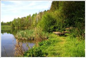 Naturlandschaft in der Nähe der Ferienwohnung