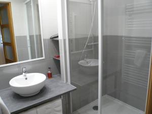 uma casa de banho com um lavatório e uma cabina de duche em vidro. em Hôtel L'Européen em Tarbes
