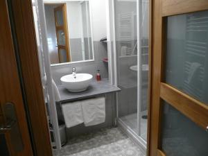 y baño con lavabo y ducha. en Hôtel L'Européen, en Tarbes