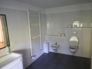 a bathroom with a toilet and a urinal at Casa Fluțar in Moisei