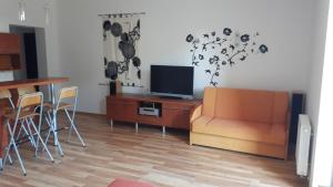 a living room with a tv and a couch and a table at Wisełka Studio in Wisełka