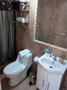 a bathroom with a white toilet and a sink at Guest Home Valto & Ziron in Arica