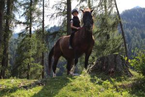 Zvieratá v horskej chate alebo blízkom okolí