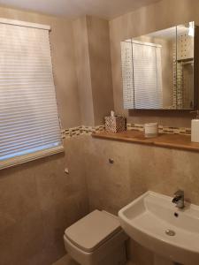 a bathroom with a toilet and a sink and a mirror at The Curate's Quarters at the Old Vicarage in Lincoln