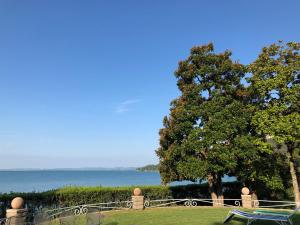 a view of the water from a house with a tree at Appartamenti Villa Andrea in Garda