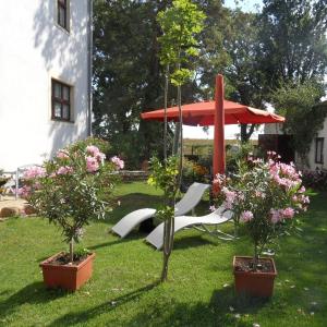 Galeriebild der Unterkunft HERRENHAUS KUNZWERDA bei TORGAU - ApartHotel, BoardingHouse, WOHNEN auf ZEIT in Torgau