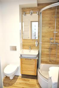 コウォブジェクにあるApartament z klimatyzacjąのバスルーム(洗面台、トイレ、シャワー付)