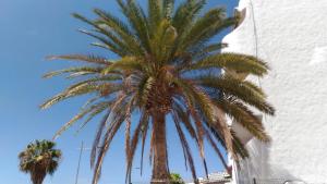Kép Sweet House szállásáról Puerto Rico de Gran Canaria városában a galériában