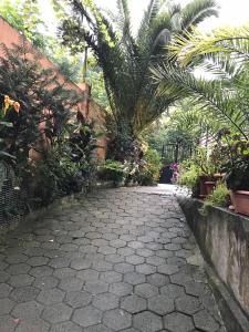 a walkway in a garden with palm trees and plants at Temo's Guesthouse in Sarpi