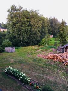 a garden with a bunch of flowers in the grass at Ergli Apartment in Ērgļi