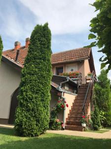 Zahrada ubytování Villa Nirvana