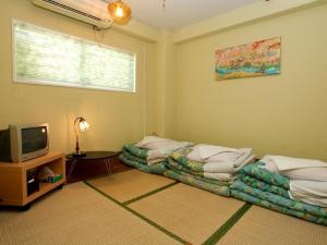 TV a/nebo společenská místnost v ubytování Hostel Zen