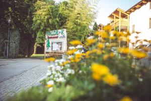 Zahrada ubytování Hotel und Appartementhof Waldeck