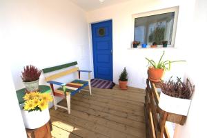 une terrasse couverte avec une porte bleue et des plantes en pot dans l'établissement Blacksheep Sagres Guesthouse & Surf, à Sagres