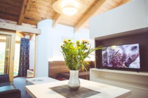 TV a/nebo společenská místnost v ubytování Hotel und Appartementhof Waldeck