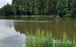 a small boat in the middle of a lake at Sunshine Bad Camberg in Bad Camberg