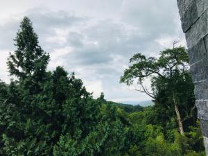 Príroda v okolí chaty v prírode
