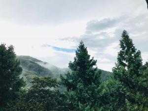 Príroda v okolí chaty v prírode