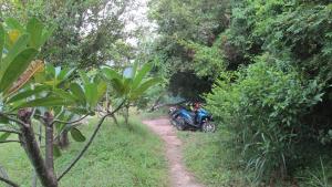 a motorcycle parked on a dirt trail in the forest at Bohemia Resort in Ko Tao
