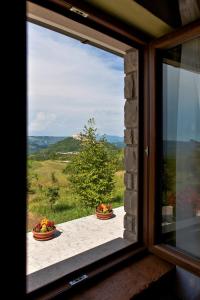Imagen de la galería de Casa Rodeli, en Motovun 5 fotos más