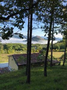 a house in a field with trees at Casa Rodeli in Motovun +5 photos