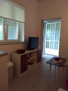 een woonkamer met een televisie en een tafel bij Apartman Tariba in Supetarska Draga