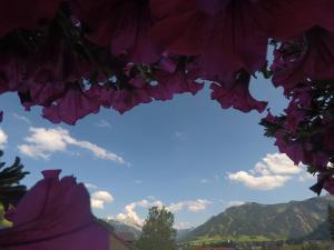 vista sulle montagne da sotto un mazzo di fiori di Gastehaus Reichle a Tannheim