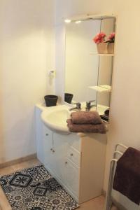 La salle de bains est pourvue d'un lavabo et d'un miroir. dans l'établissement Domaine du Jardin " Chambres d'hôtes ", à Saint-Jean-de-la-Haize