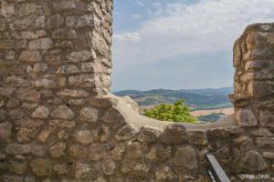 Paesaggio naturale nelle vicinanze dell'affittacamere