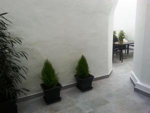 Fotografia z galérie ubytovania Apartamento Mendoza v destinácii Seville