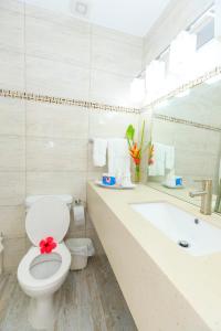 a bathroom with a toilet and a sink and a tub at Sunset Shores Beach Hotel in Kingstown