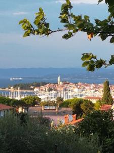 a view of a city from a tree at Apartment Jasmine in Izola
