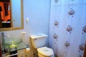 a bathroom with a toilet and a shower curtain at Cabañas Entre Verdes in Frutillar