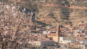 Gallery image of Torre piquer in Berge