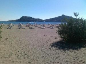 Ảnh trong thư viện ảnh của The Palm Apart Sarigerme ở Sarigerme