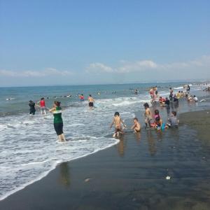 Ảnh trong thư viện ảnh của The Palm Apart Sarigerme ở Sarigerme