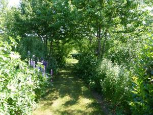 a path through a garden with flowers and trees at Sysselbjerg Bed & Breakfast in Almind