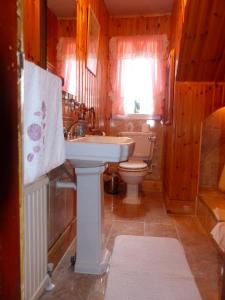 a bathroom with a sink and a toilet at Glenhouse in Leurbost