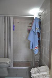 y baño con ducha y aseo. en Feudi Spada casa vacanze, en Orvieto