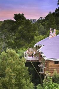 a tree house with a deck in the woods at Tsala Treetop Lodge in Plettenberg Bay