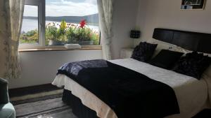 Gallery image of The Plough B&B in Ventry