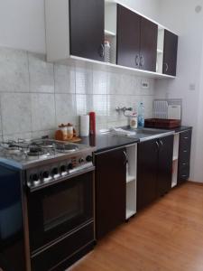 a kitchen with a stove and a counter top at Apartman Tripkovic in Bar