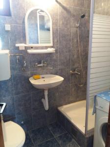 een badkamer met een wastafel, een toilet en een douche bij Apartman Tripkovic in Bar
