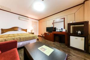 TV a/nebo společenská místnost v ubytování Kyungha Spa Hotel