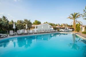 a large swimming pool with chairs and palm trees at Coral Blue Beach Hotel Gerakini in Gerakini