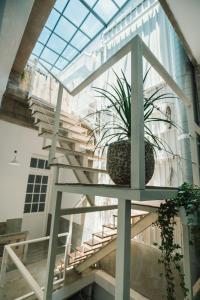 a glass staircase with a potted plant on it at 8 Door老宅民宿 in Hengchun